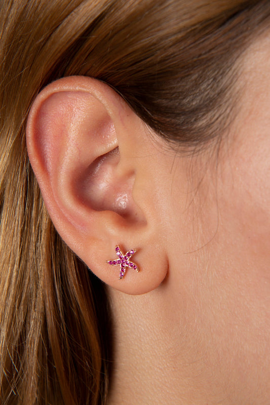 Wholesale Women's 925 Sterling Silver Star Earrings