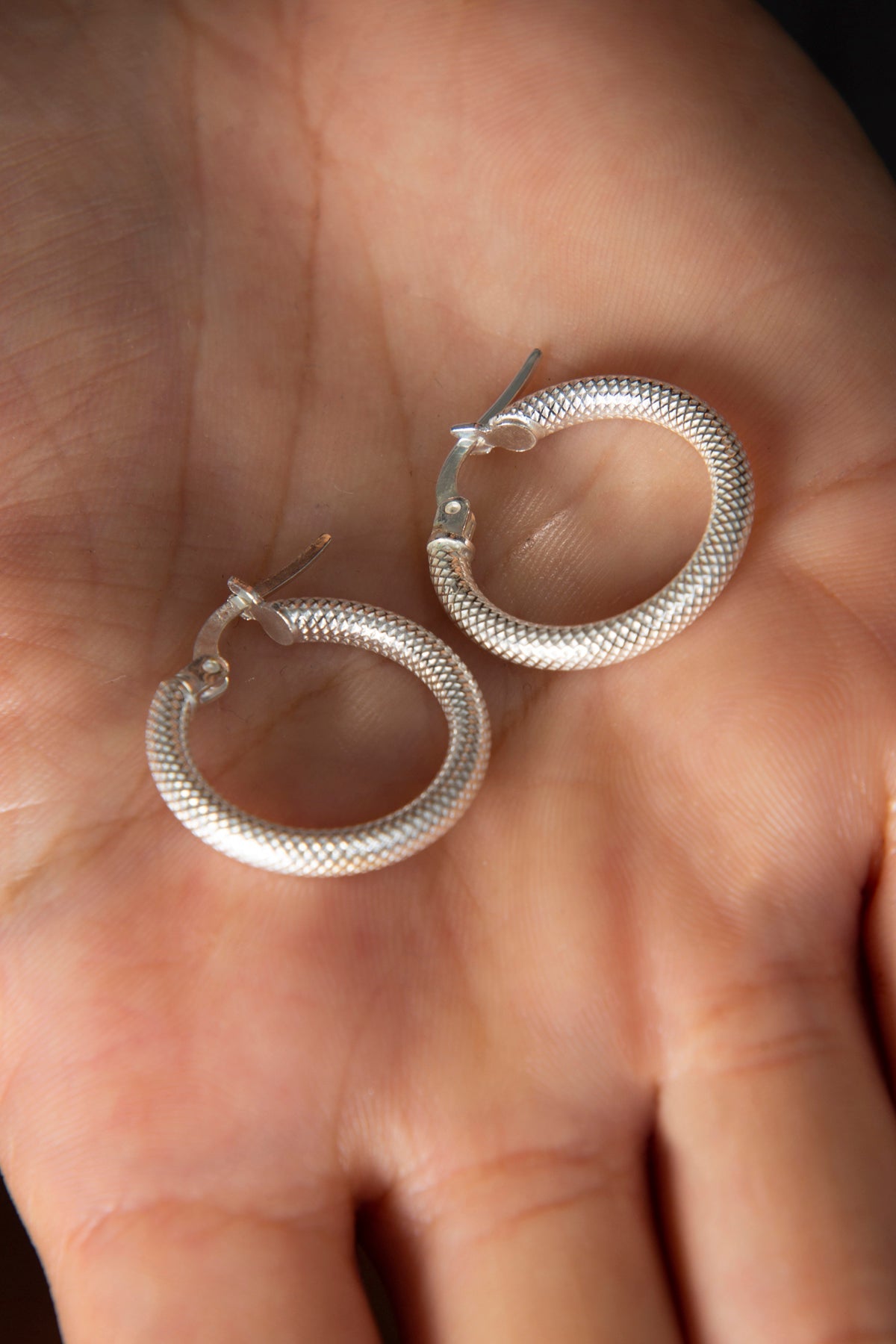 Wholesale Women's Hoop Model 925 Sterling Silver Earrings