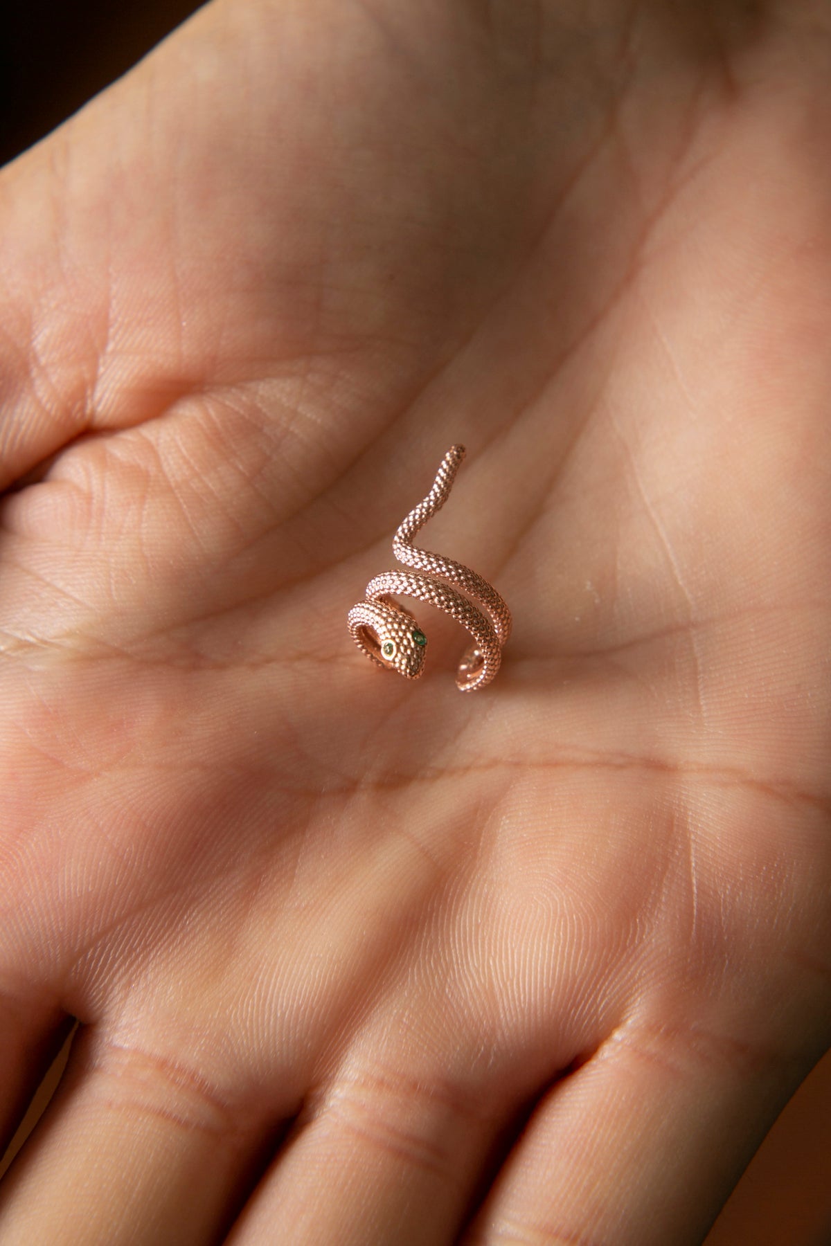 Wholesale Women's 925 Sterling Silver Snake Design Cartilage Earring